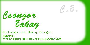 csongor bakay business card